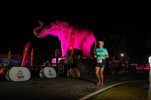 BIB: 
                            <button type="button" onclick="openModal(26533954)" class="btn btn-primary btn-sm float-right btn-popup" data-toggle="modal" data-target=".modal-high-quality">
                        <i class="fas fa-shopping-cart"></i> Add to Cart
                    </button>
                                            <button type="button" onclick="isThisMe(26533954, true)" class="btn btn-success btn-sm float-right btn-popup btn-isme hidden" data-toggle="tooltip" data-placement="bottom" title="นี่คือรูปของคุณใช่ไหม คลิกที่นี่เพื่อเอาเข้าอัลบั้ม">
                        <i class="fas fa-plus"></i> Add to album
                    </button>
                    <button type="button" onclick="isThisMe(26533954, false)" class="btn btn-warning btn-sm float-right btn-popup btn-isnotme hidden">
                        <i class="fas fa-ban"></i> Remove from album
                    </button>